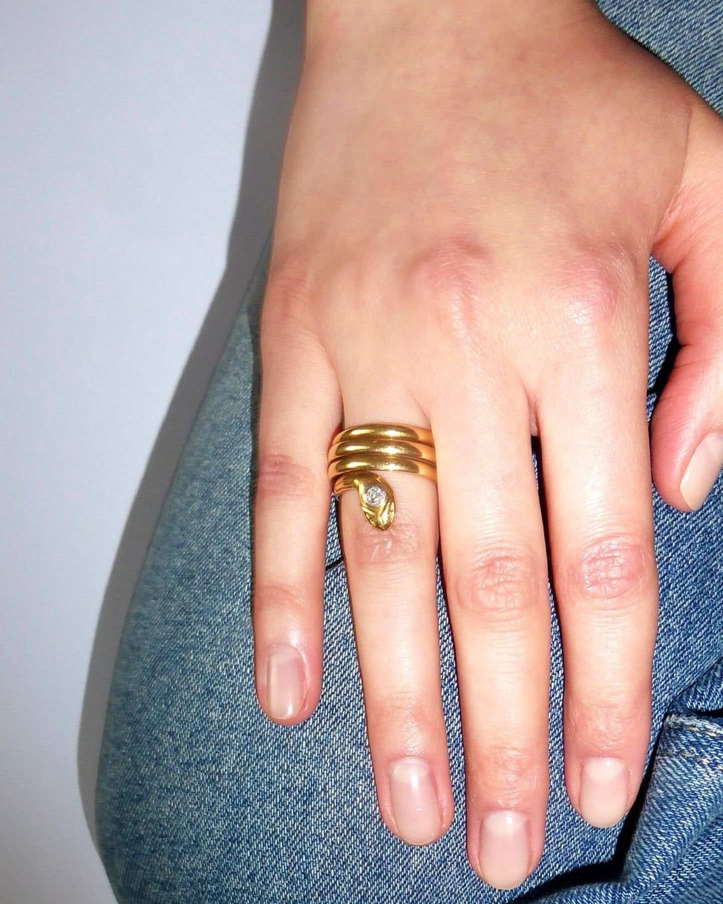 VICTORIAN DIAMOND & GOLD SNAKE ETERNITY RING, 1890s