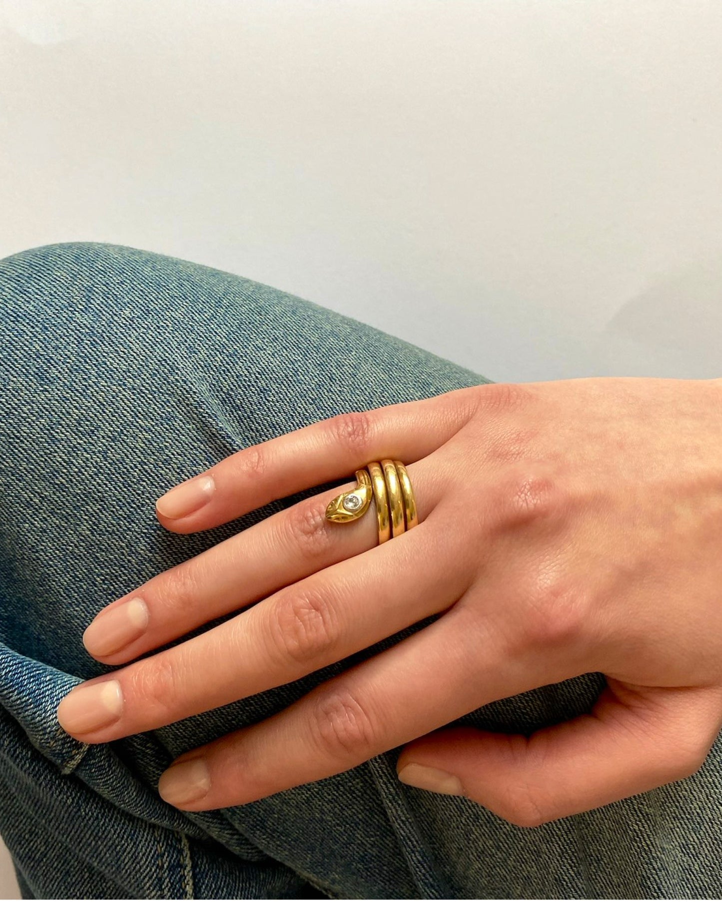 VICTORIAN DIAMOND & GOLD SNAKE ETERNITY RING, 1890s