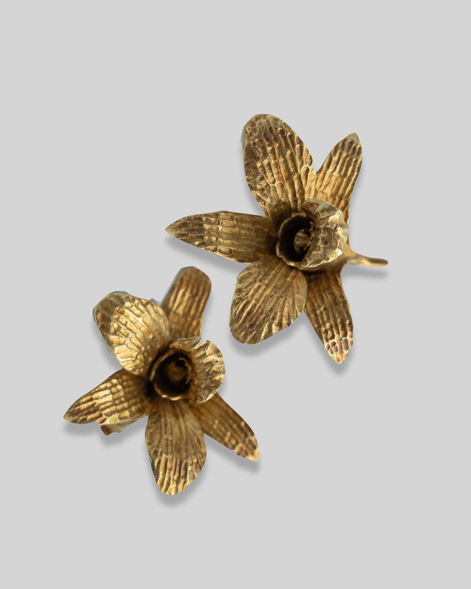FAUNA & FLORA